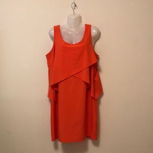 Gorgeous Orange Dress with side zip